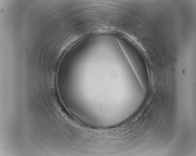 X0000059080010200510211553