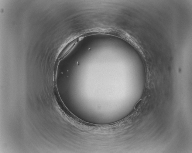 X0000059080011200510211553