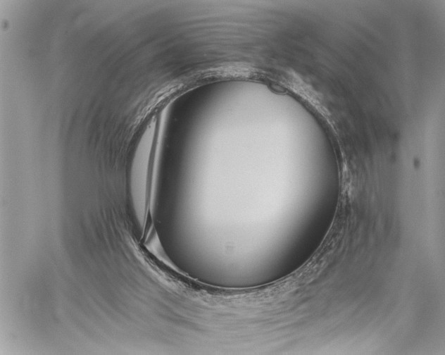 X0000059080013200510211553