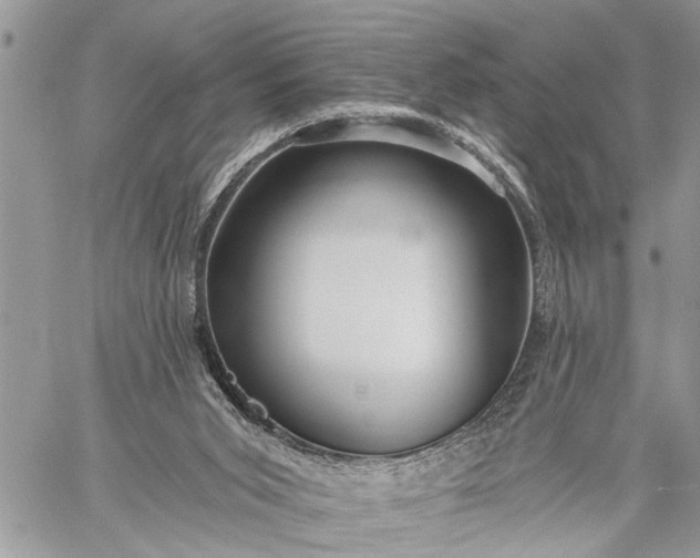 X0000059080015200510211553