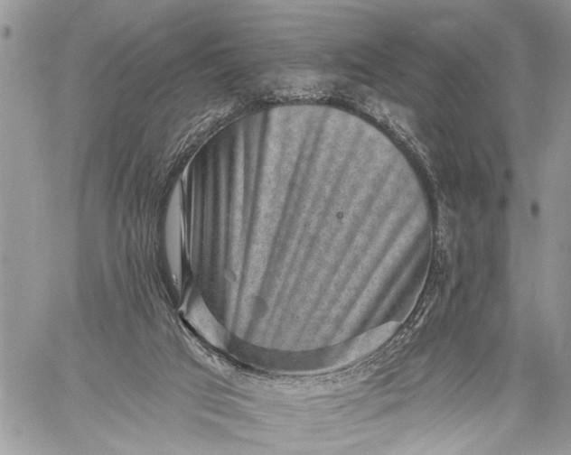 X0000059080017200510211553