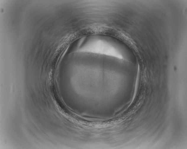 X0000059080018200510211553