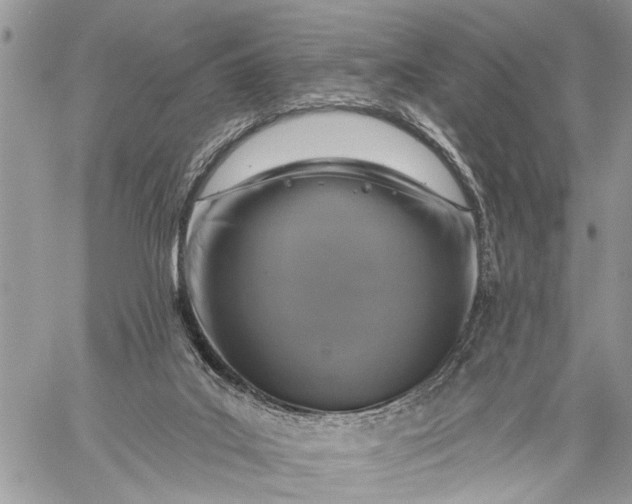 X0000059080019200510211553