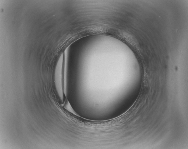 X0000059080021200510211553