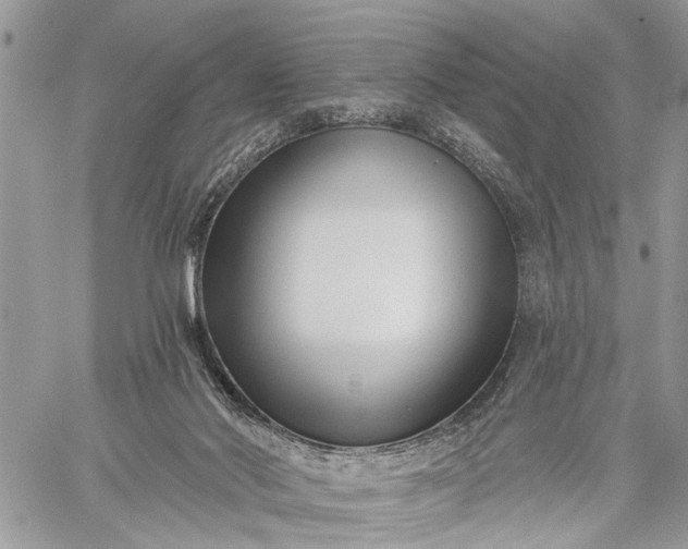 X0000059080022200510211553