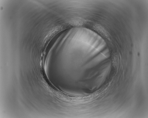 X0000059080023200510211553