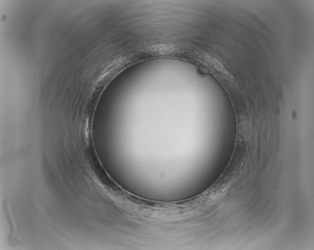 X0000059080024200510211553