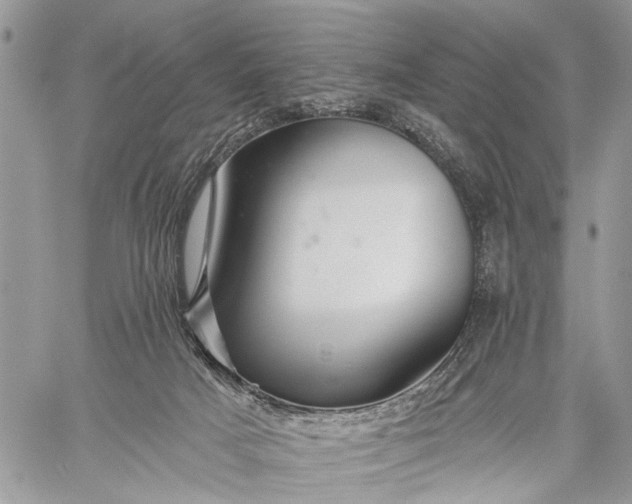 X0000059080025200510211553