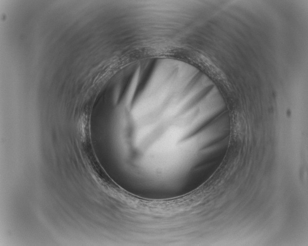 X0000059080026200510211553