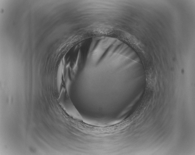 X0000059080027200510211553