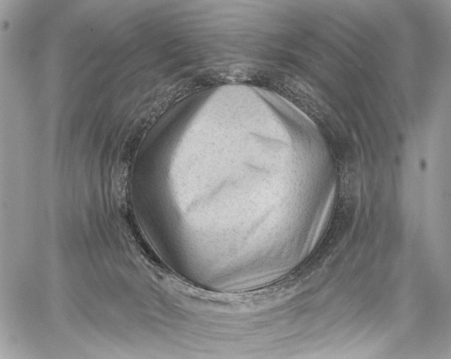 X0000059080030200510211553