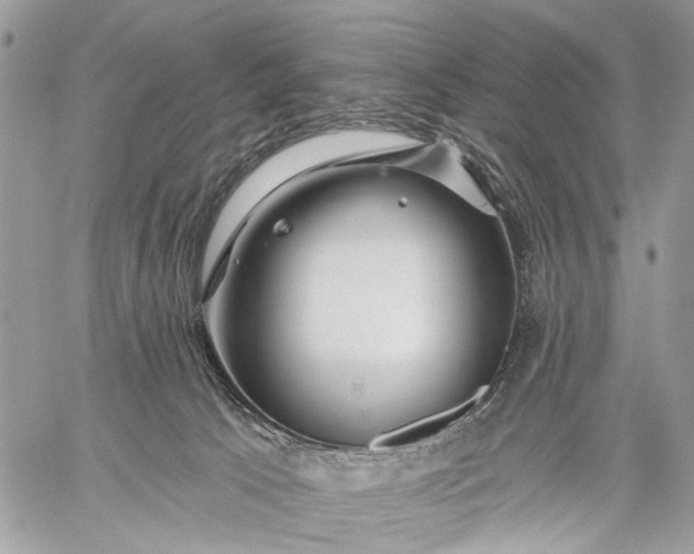 X0000059080033200510211553