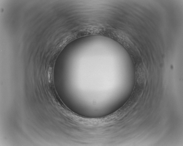 X0000059080034200510211553