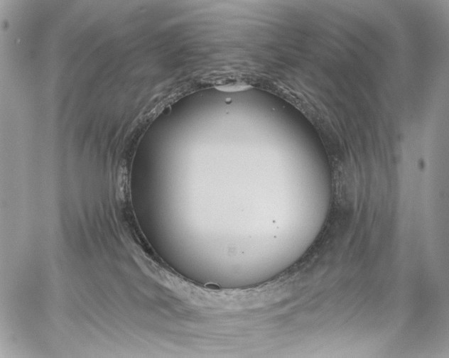 X0000059080038200510211553