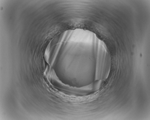 X0000059080039200510211553