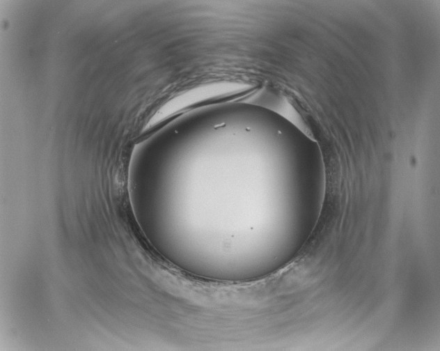 X0000059080040200510211553