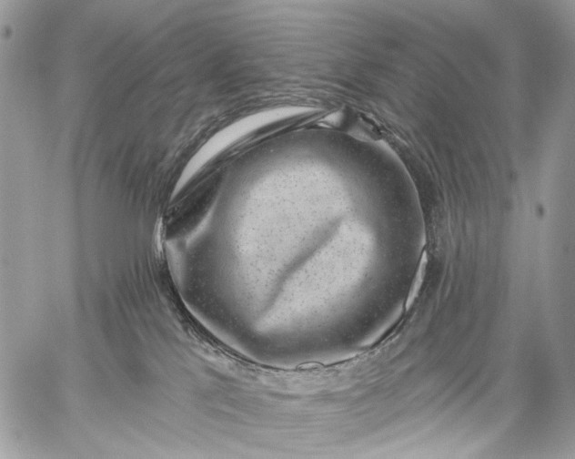 X0000059080041200510211553