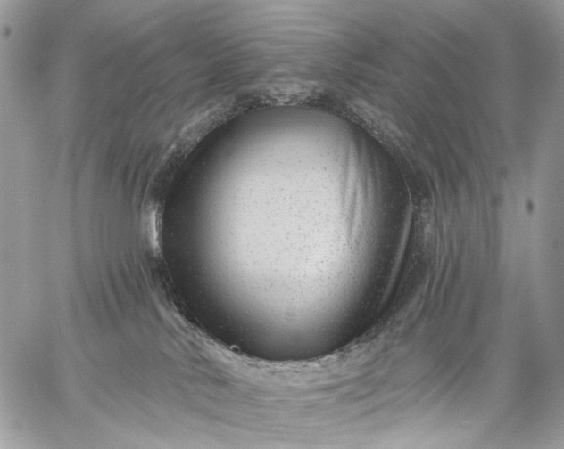 X0000059080042200510211553