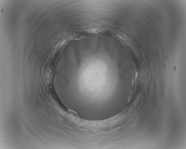 X0000059080043200510211553