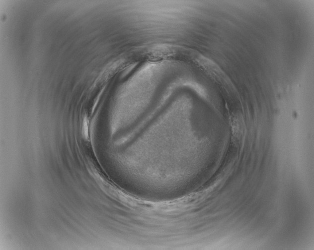 X0000059080046200510211553