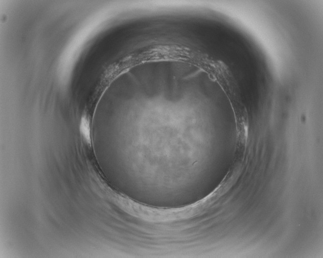 X0000059080047200510211553