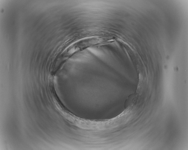 X0000059080048200510211553