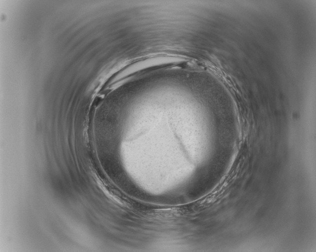 X0000059080050200510211552