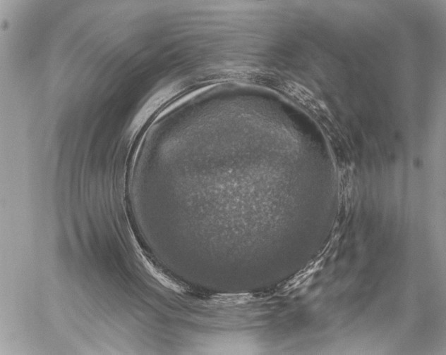 X0000059080051200510211552