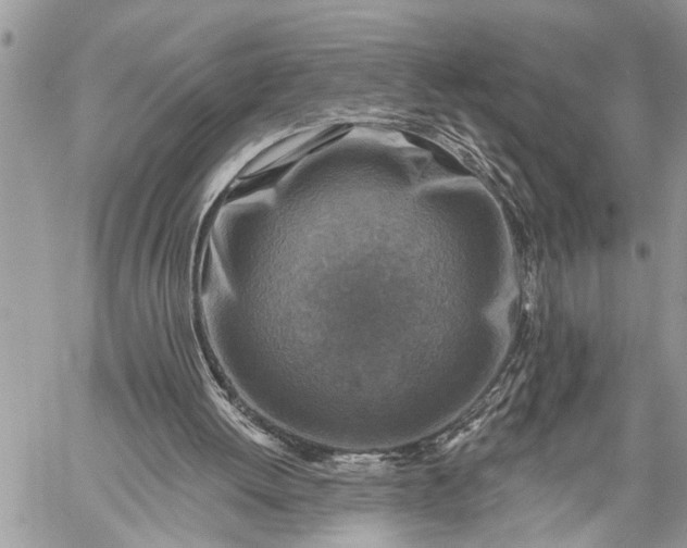 X0000059080052200510211552