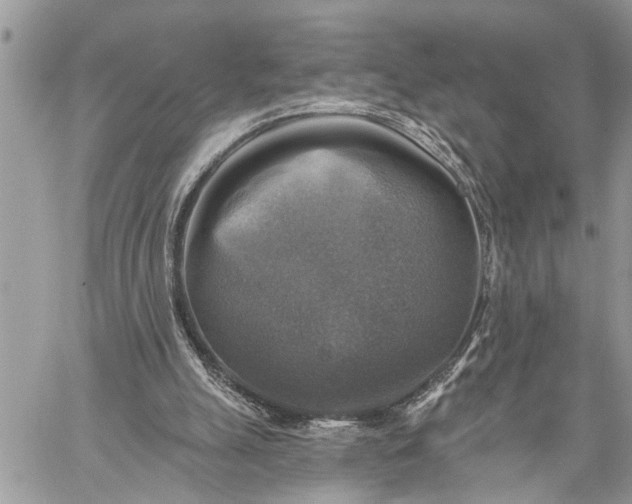 X0000059080055200510211552