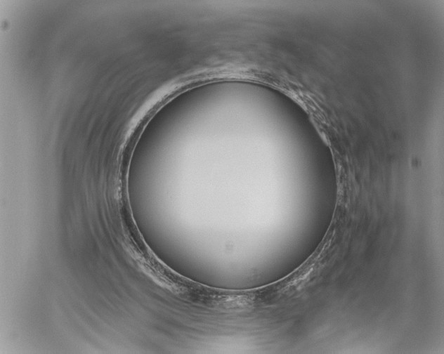 X0000059080056200510211552