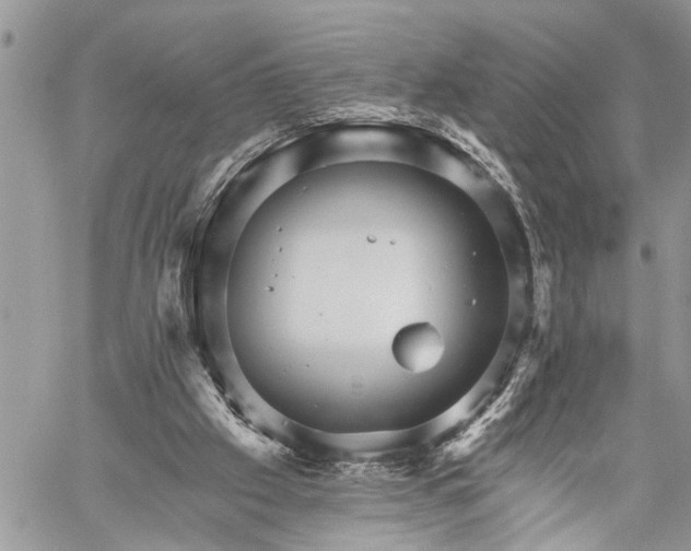 X0000059080057200510211552