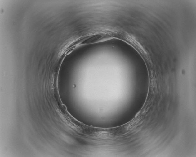 X0000059080058200510211552