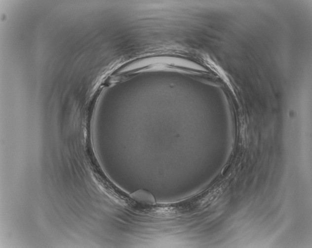 X0000059080059200510211552