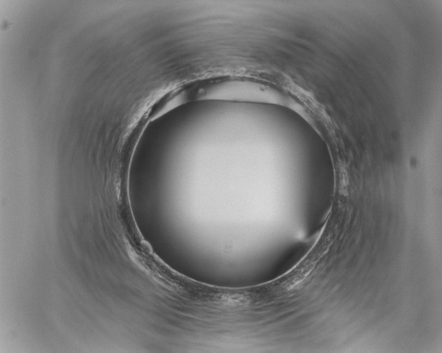 X0000059080060200510211552