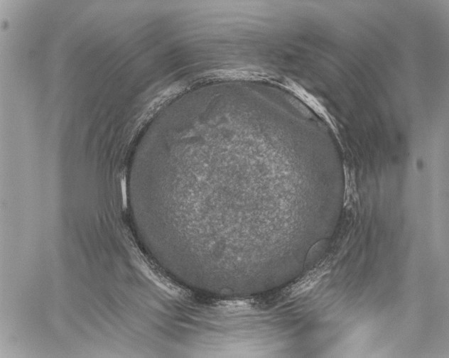 X0000059080061200510211552