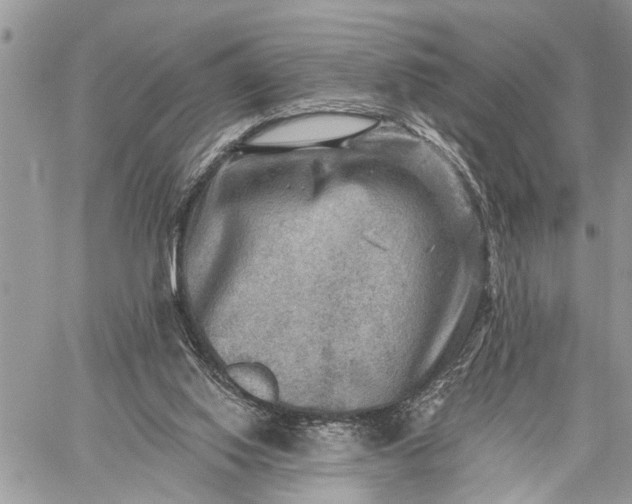 X0000059080062200510211552