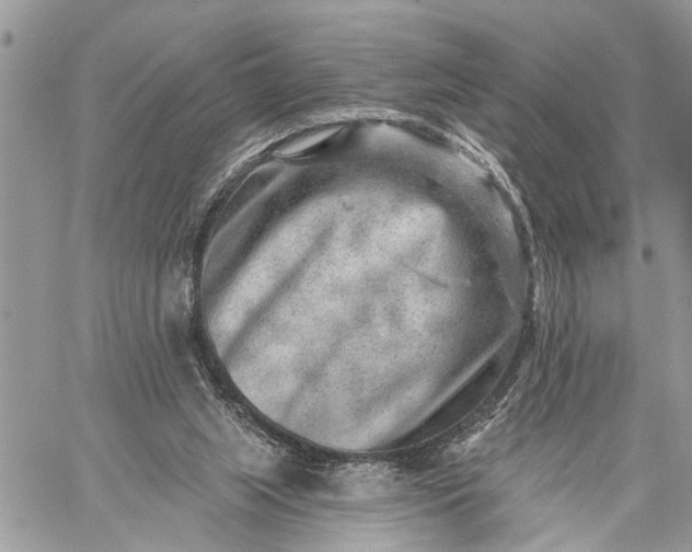 X0000059080063200510211552