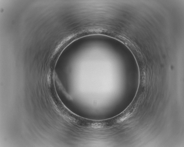 X0000059080064200510211552