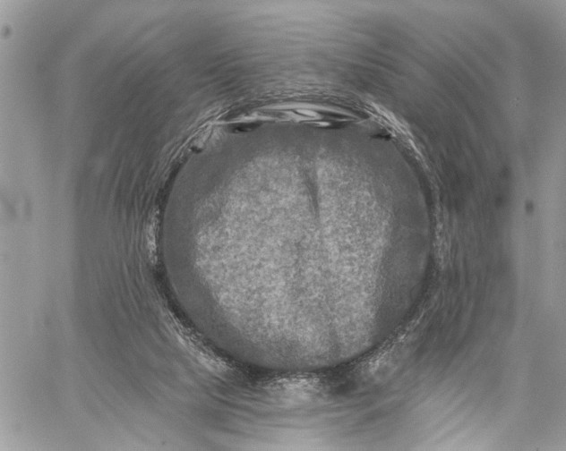 X0000059080065200510211552