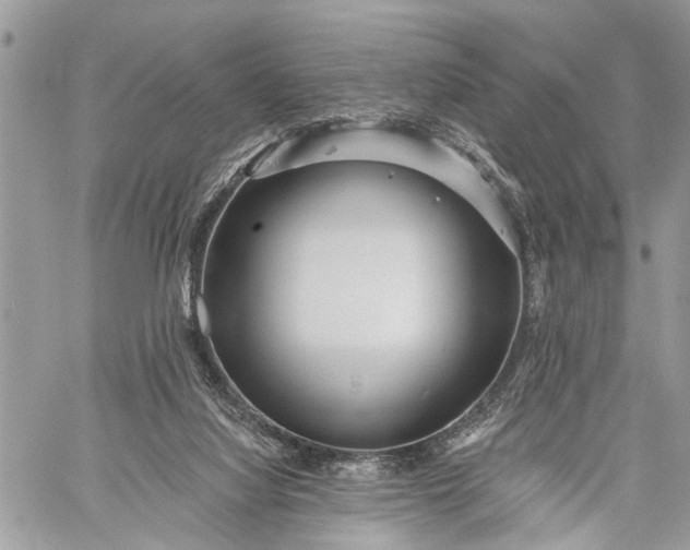 X0000059080068200510211552