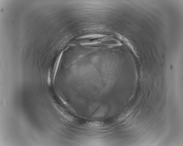 X0000059080069200510211552