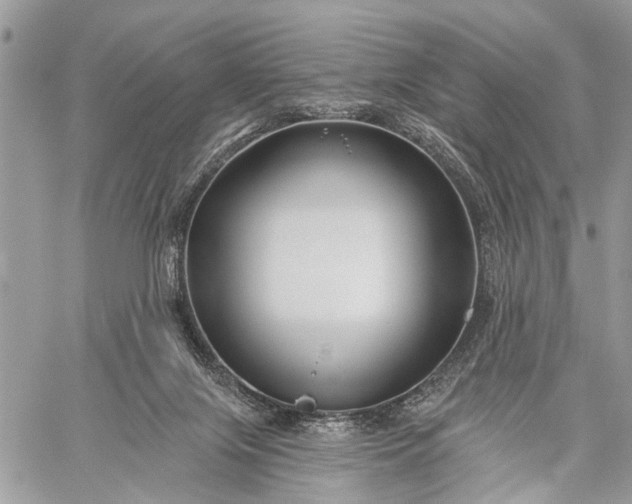 X0000059080071200510211552