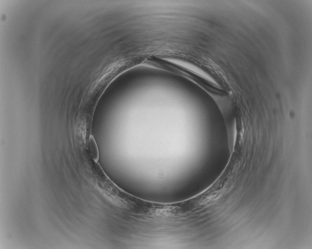 X0000059080072200510211552