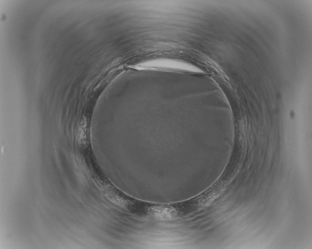 X0000059080073200510211552