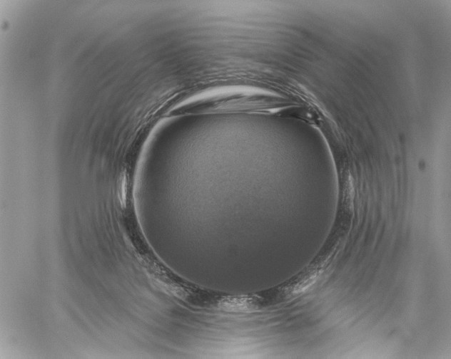 X0000059080076200510211552