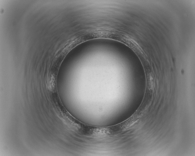 X0000059080077200510211552