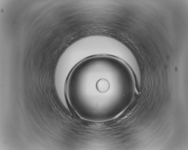 X0000059080079200510211552