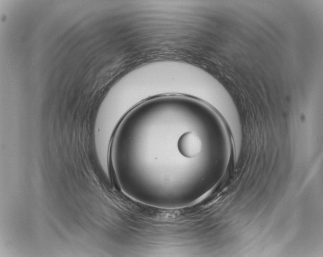 X0000059080080200510211552