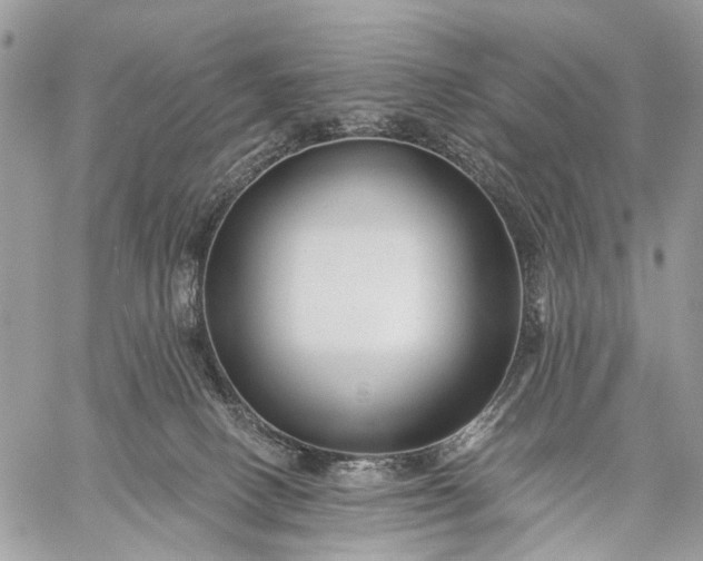 X0000059080082200510211552